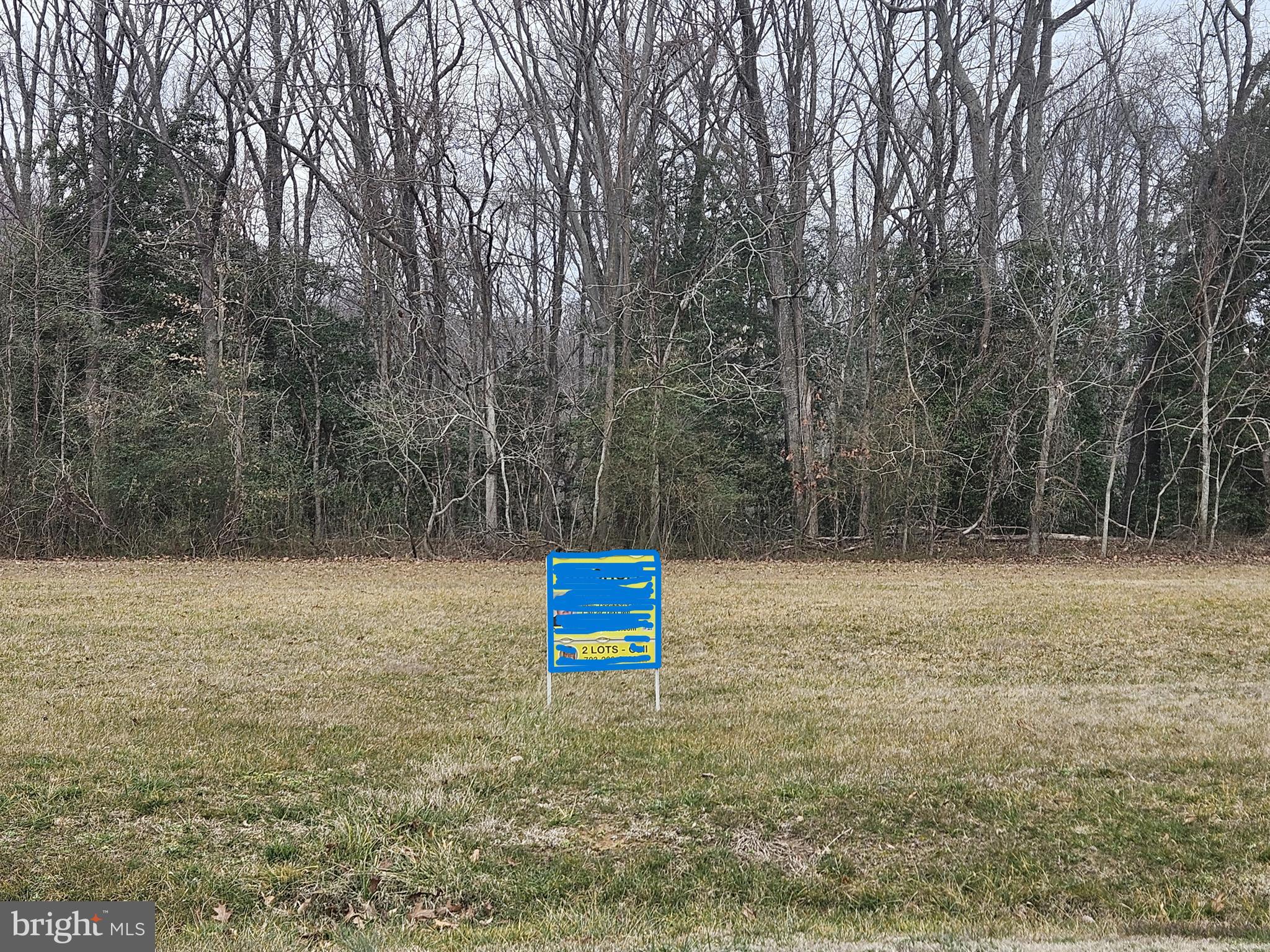 663 Prospect Hill Road Montross, VA 22520 - Photo 6 of 6 a view of a field with trees