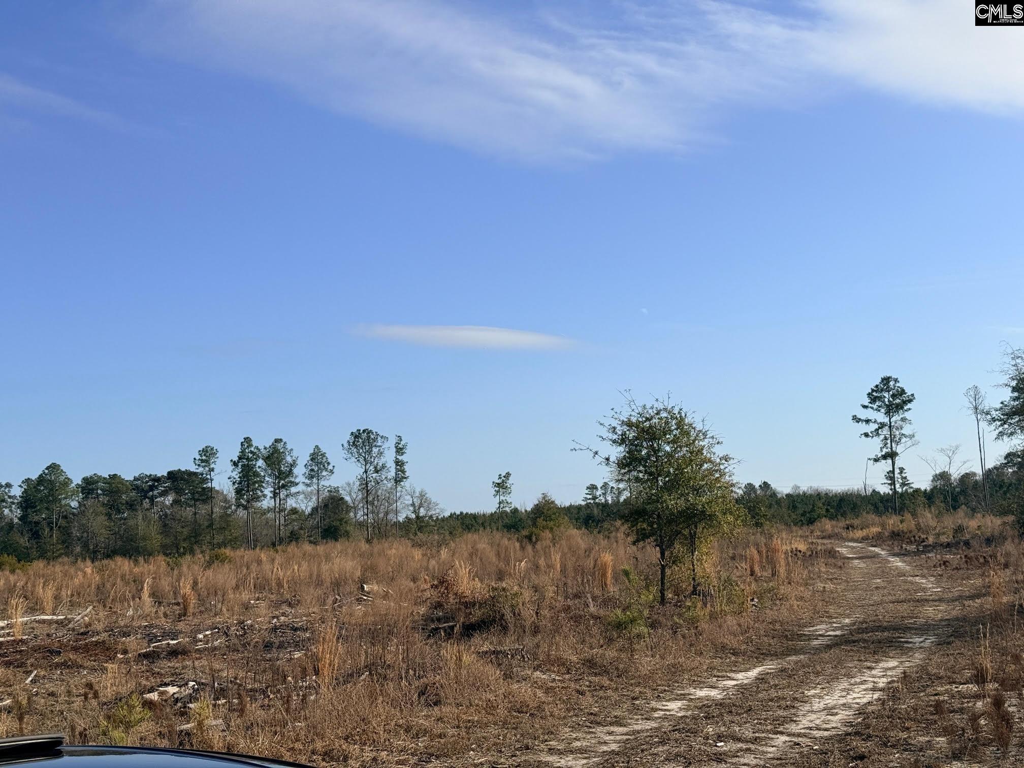 0 Festival Trail Road Salley, SC 29137 - Photo 3 of 8