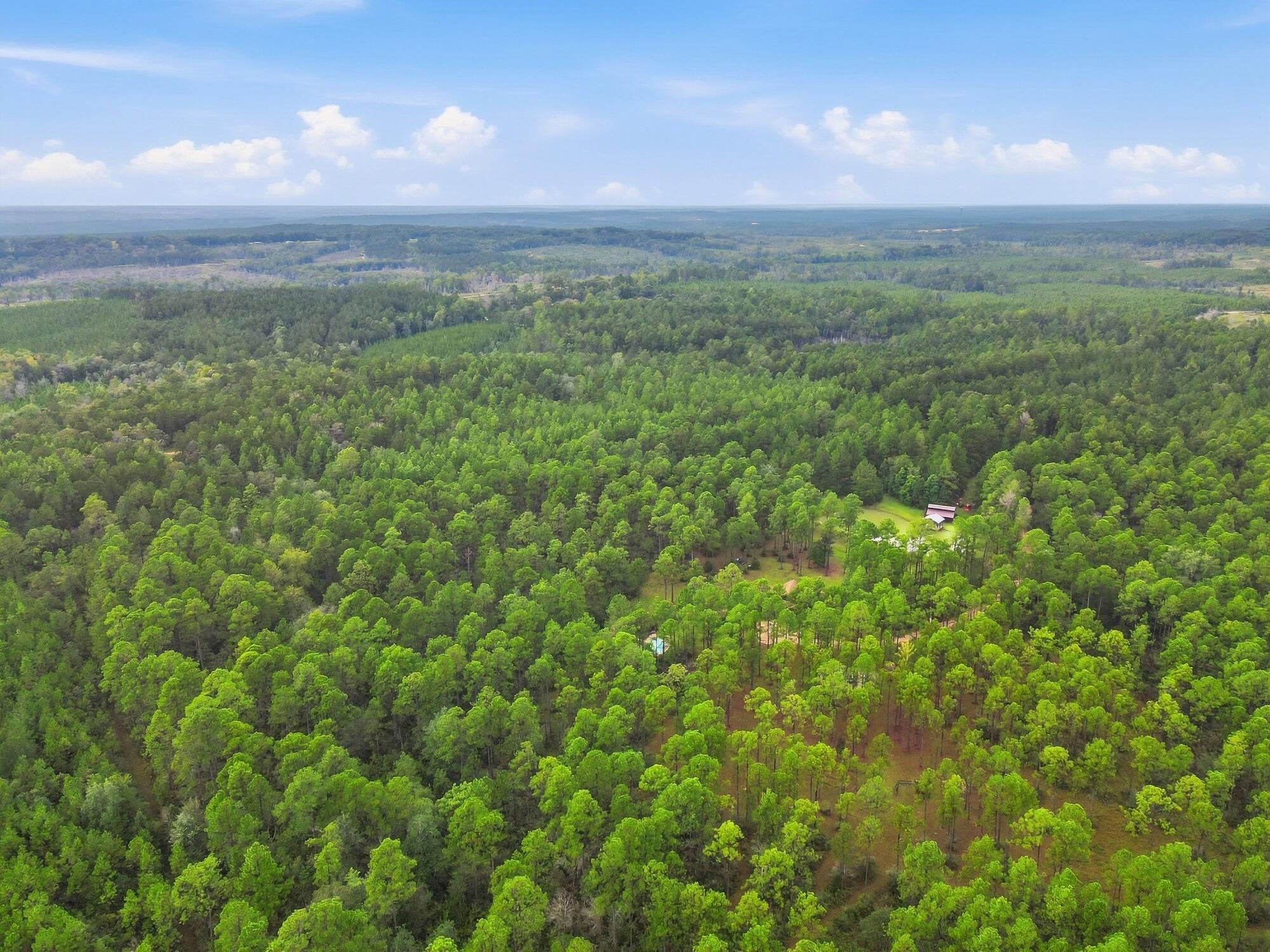 463 Jess Williams Road Poplarville, MS 39470 - Photo 57 of 59 Gallery Image 57