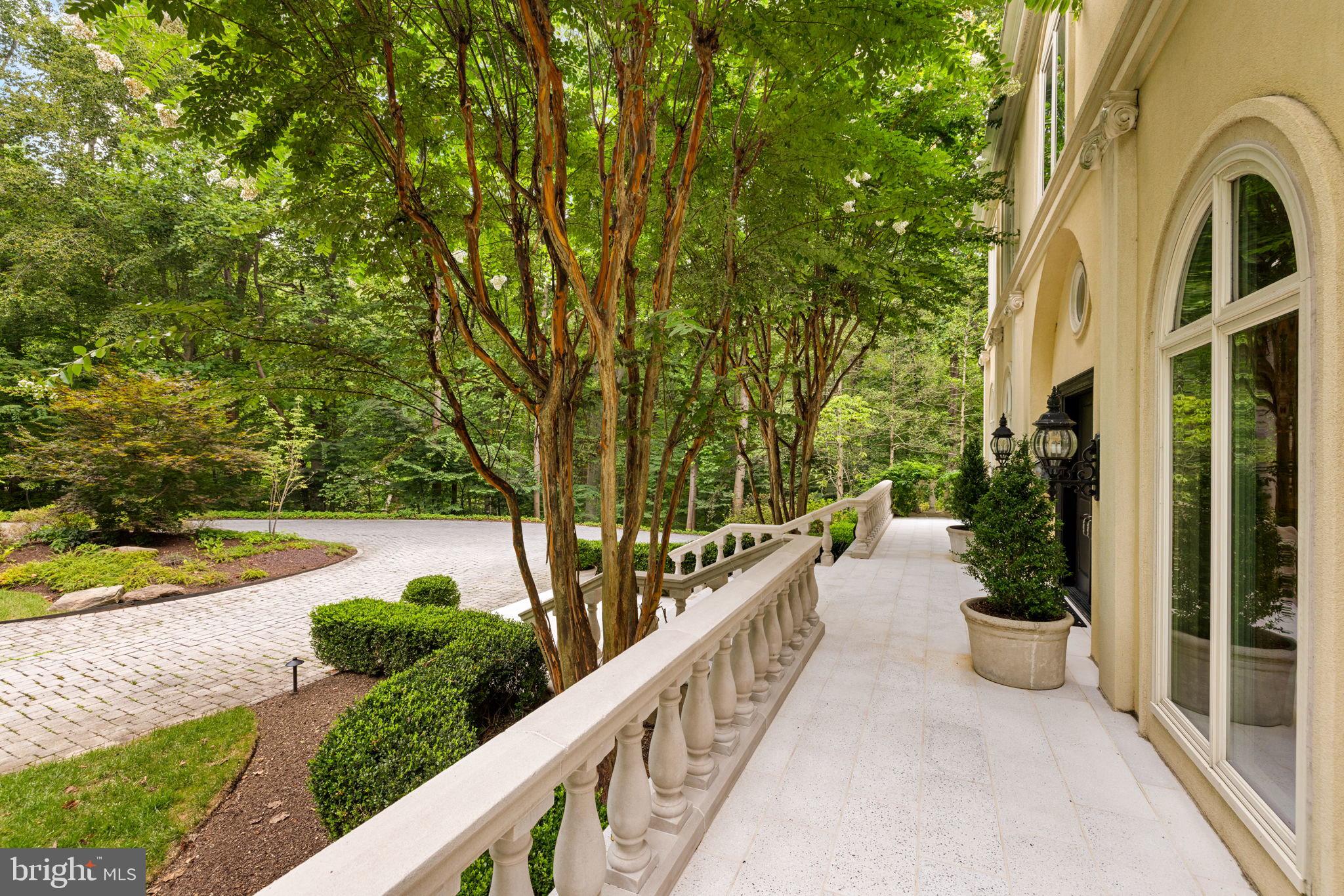1111 Crest Lane McLean, VA 22101 - Photo 6 of 61 a view of a potted plants next to a yard