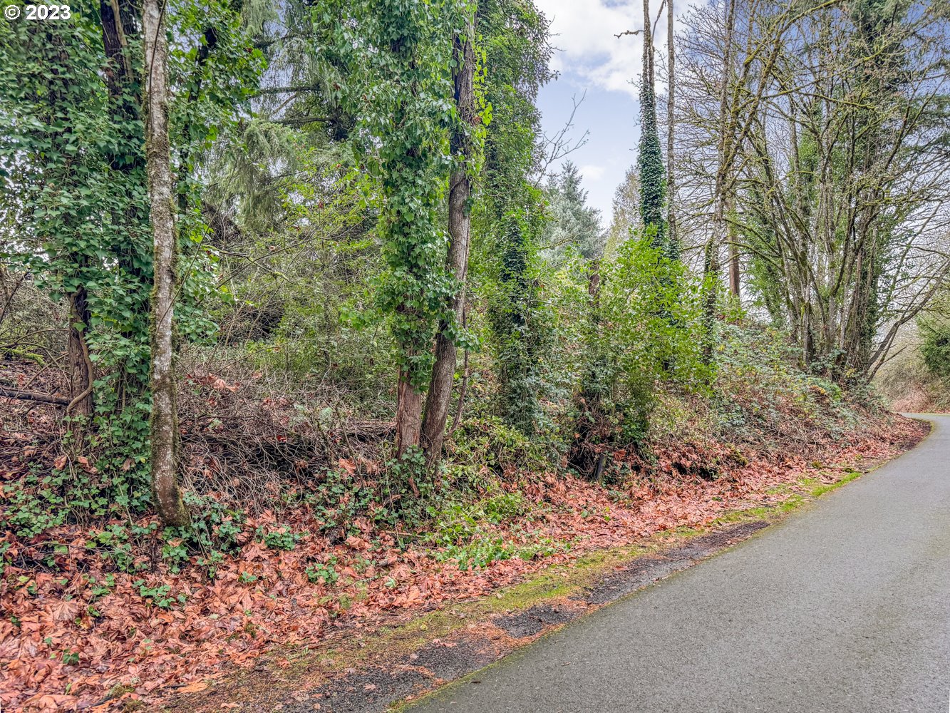0 Neely Street Portland, OR 97231 - Photo 8 of 12 Gallery Image 8