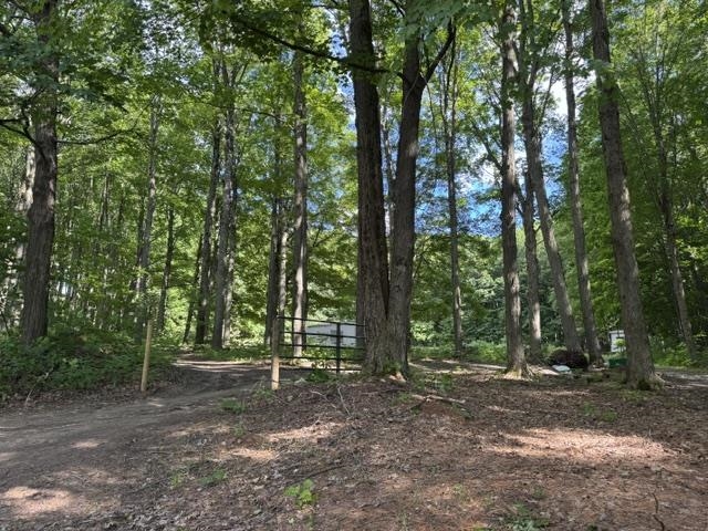 8299 West Walker Road Manton, MI 49663 - Photo 10 of 50