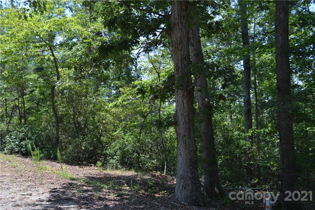 0 Spicebush Lane Rutherfordton, NC 28139 - Photo 8 of 12 Gallery Image 8