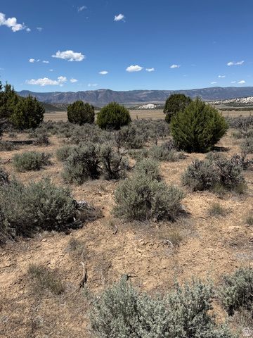 8 East Hollow Road, Unit 8 Spring City, UT 84662 - Photo 4 of 9