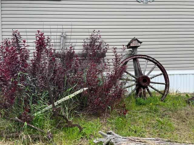 $259,000 | 11122 County Road 12, Mizpah, MN 56660