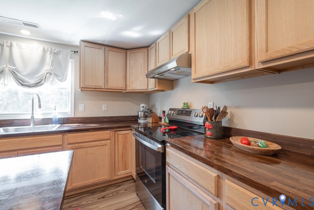 16544 Old Ridge Road Montpelier, VA 23192 - Photo 18 of 46