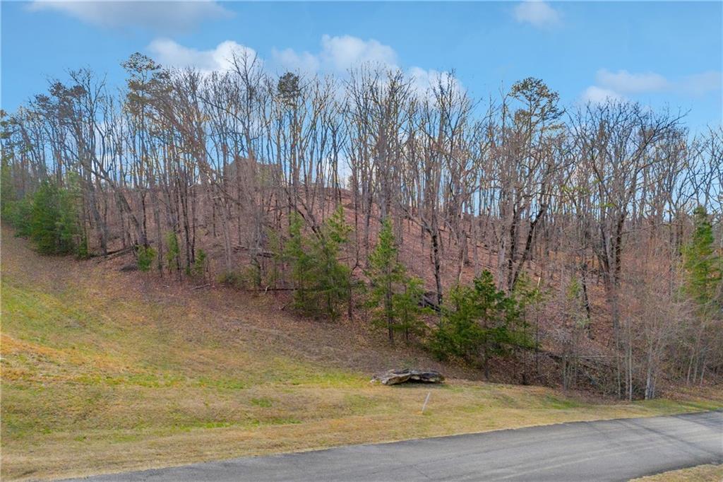 1 Planters Pointe Court Baldwin, GA 30511 - Photo 2 of 25