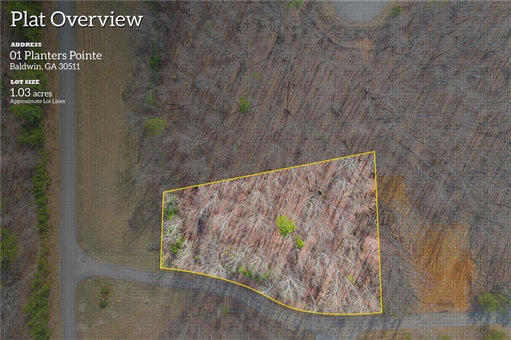 1 Planters Pointe Court Baldwin, GA 30511 - Photo 4 of 25