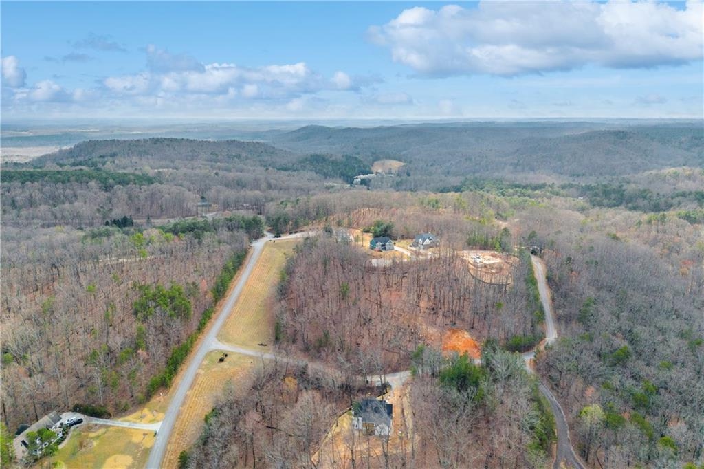 1 Planters Pointe Court Baldwin, GA 30511 - Photo 8 of 25