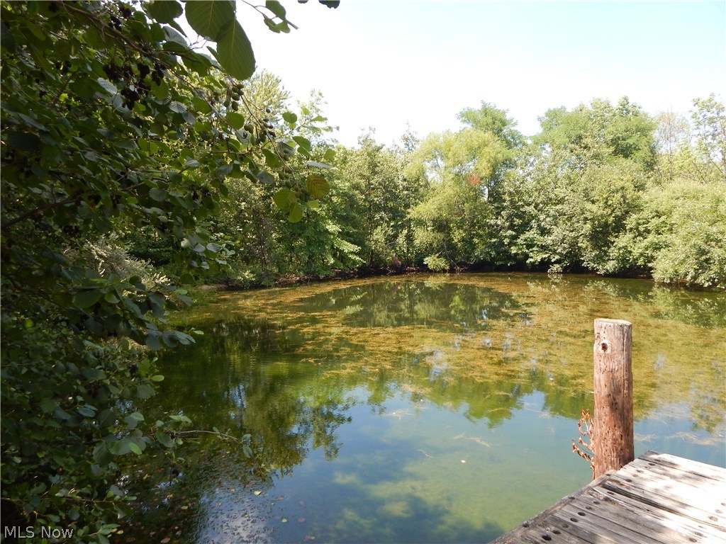 19408 Boston Road Strongsville, OH 44149 - Photo 28 of 30 Pond