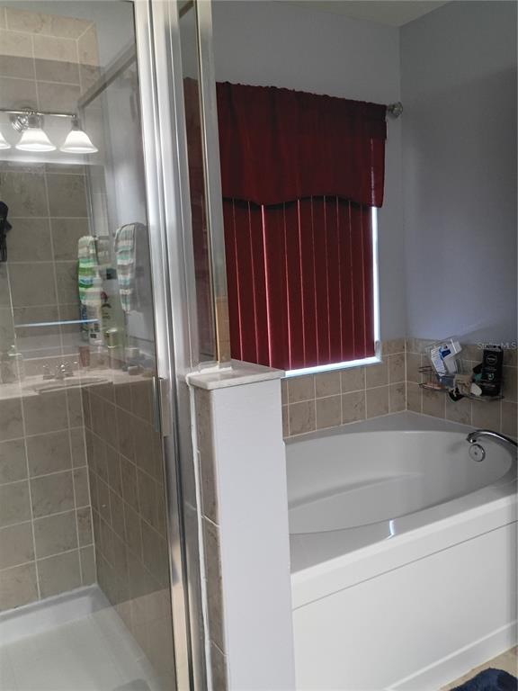 5220 Butterfly Shell Drive Apollo Beach, FL 33572 - Photo 17 of 22