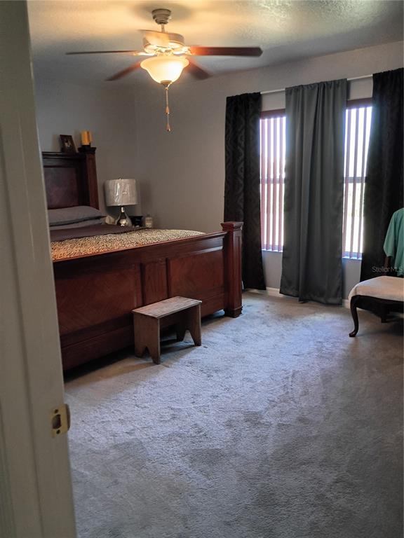 5220 Butterfly Shell Drive Apollo Beach, FL 33572 - Photo 19 of 22