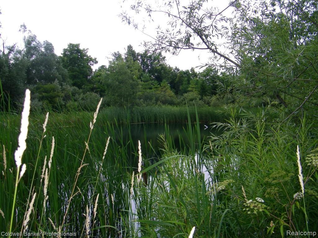 4107 Jones Road North Branch, MI 48461 - Photo 14 of 36 100_5895.jpg