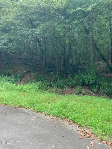 a view of a back yard