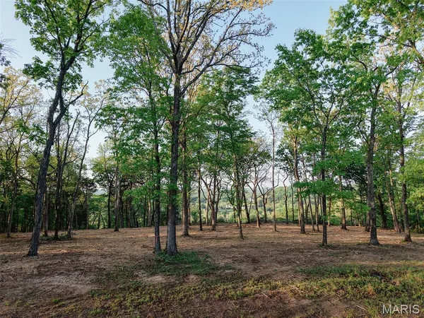 $92,500 | 5046 Squire Lane, Cedar Hill, MO 63016