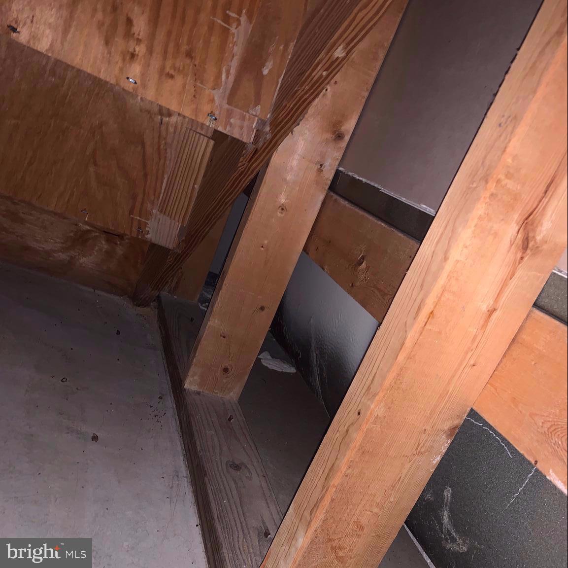 11500 Clocktower Lane Laurel, MD 20708 - Photo 60 of 60 Tub behind the shelving in basement closet
