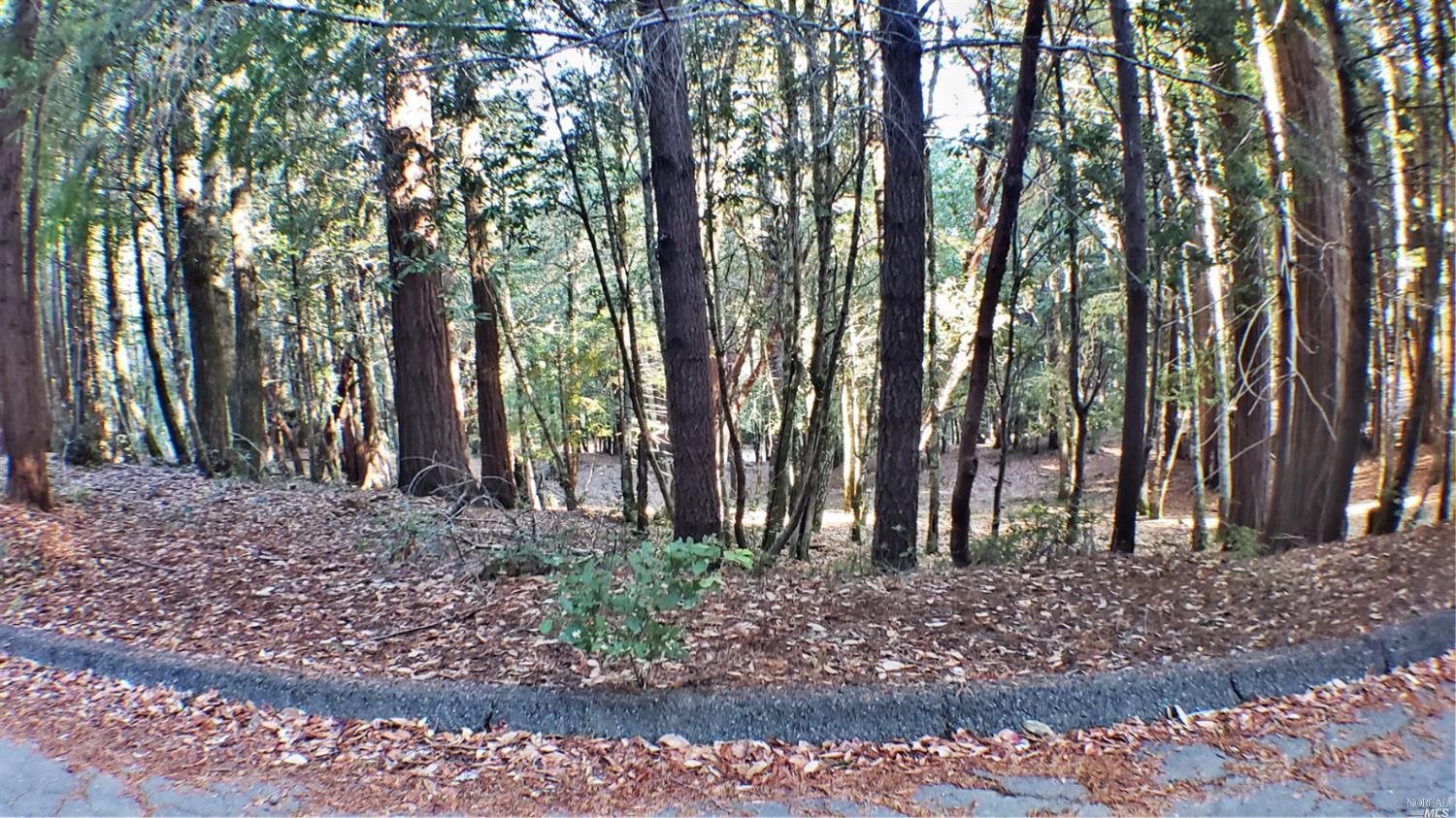 0 Buckeye Road Willits, CA 95490 - Photo 1 of 1 Gallery Image 1