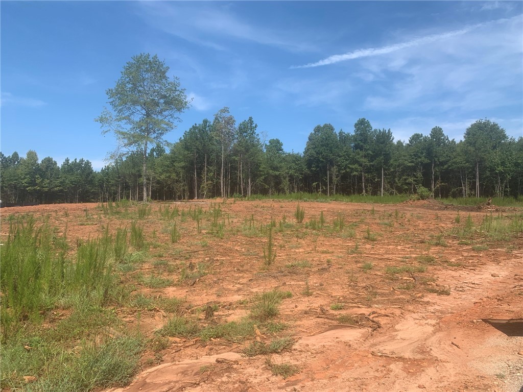 Lot B2 Pearman Dairy Road Anderson, SC 29625 - Photo 1 of 4 Gallery Image 1