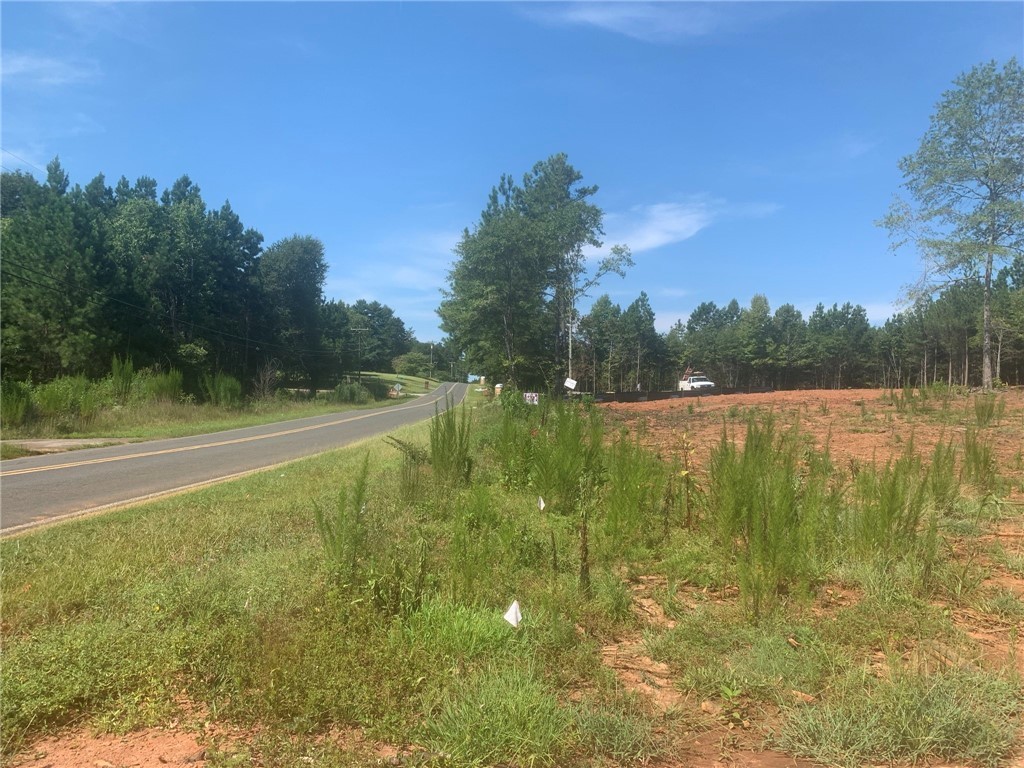Lot B2 Pearman Dairy Road Anderson, SC 29625 - Photo 3 of 4 Gallery Image 3