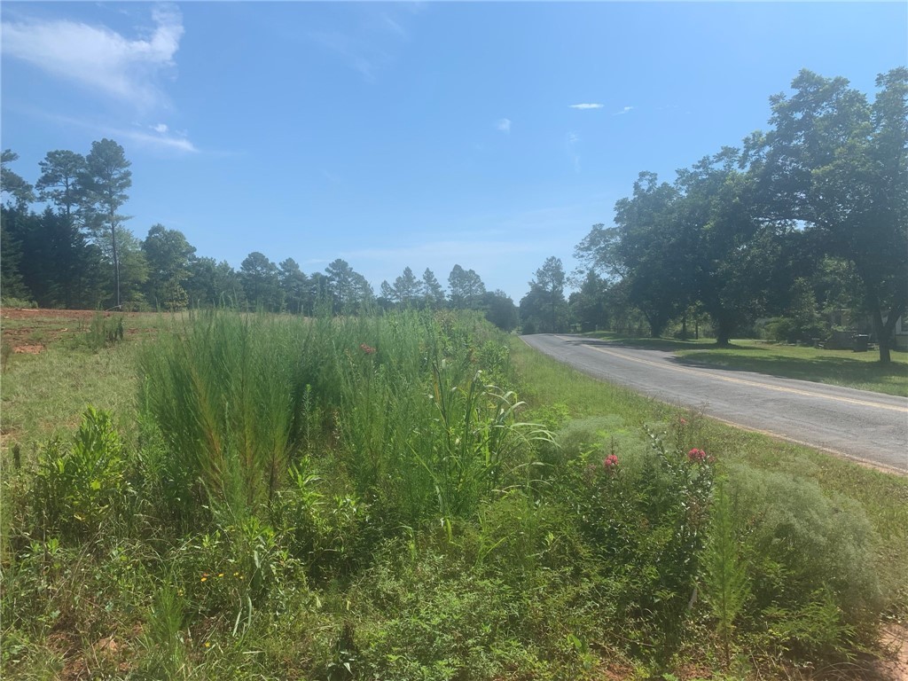 Lot B2 Pearman Dairy Road Anderson, SC 29625 - Photo 4 of 4 Gallery Image 4