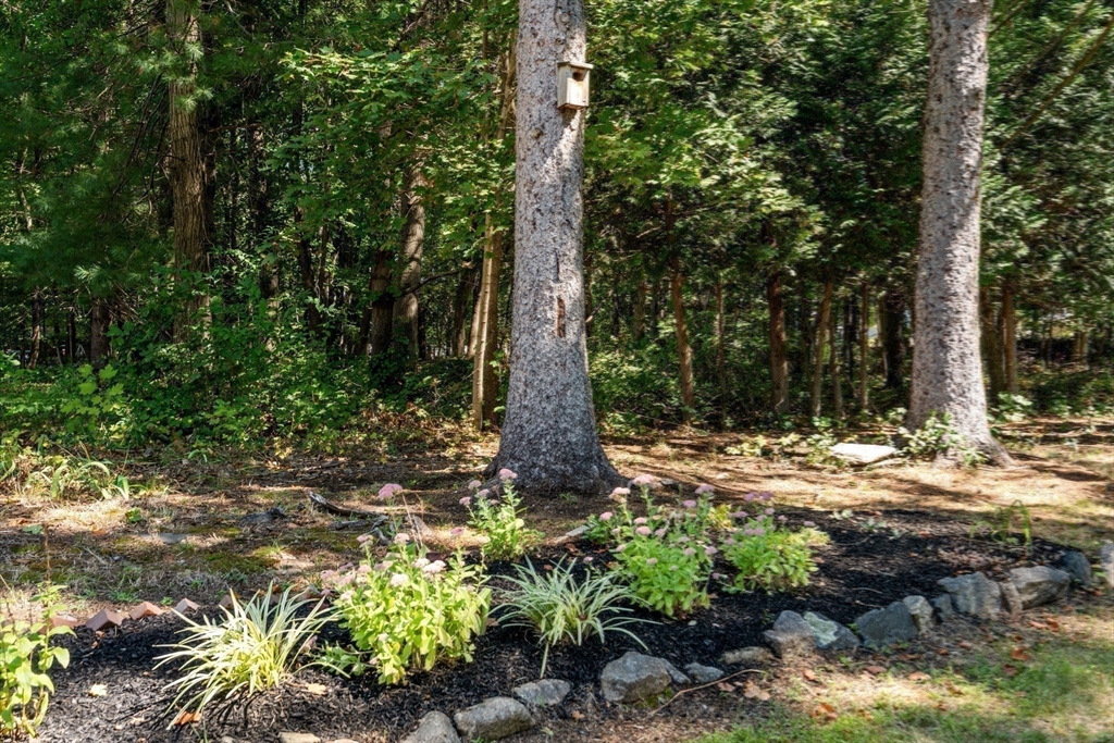 20 Selfridge Road Bedford, MA 01730 - Photo 31 of 34 Gallery Image 31