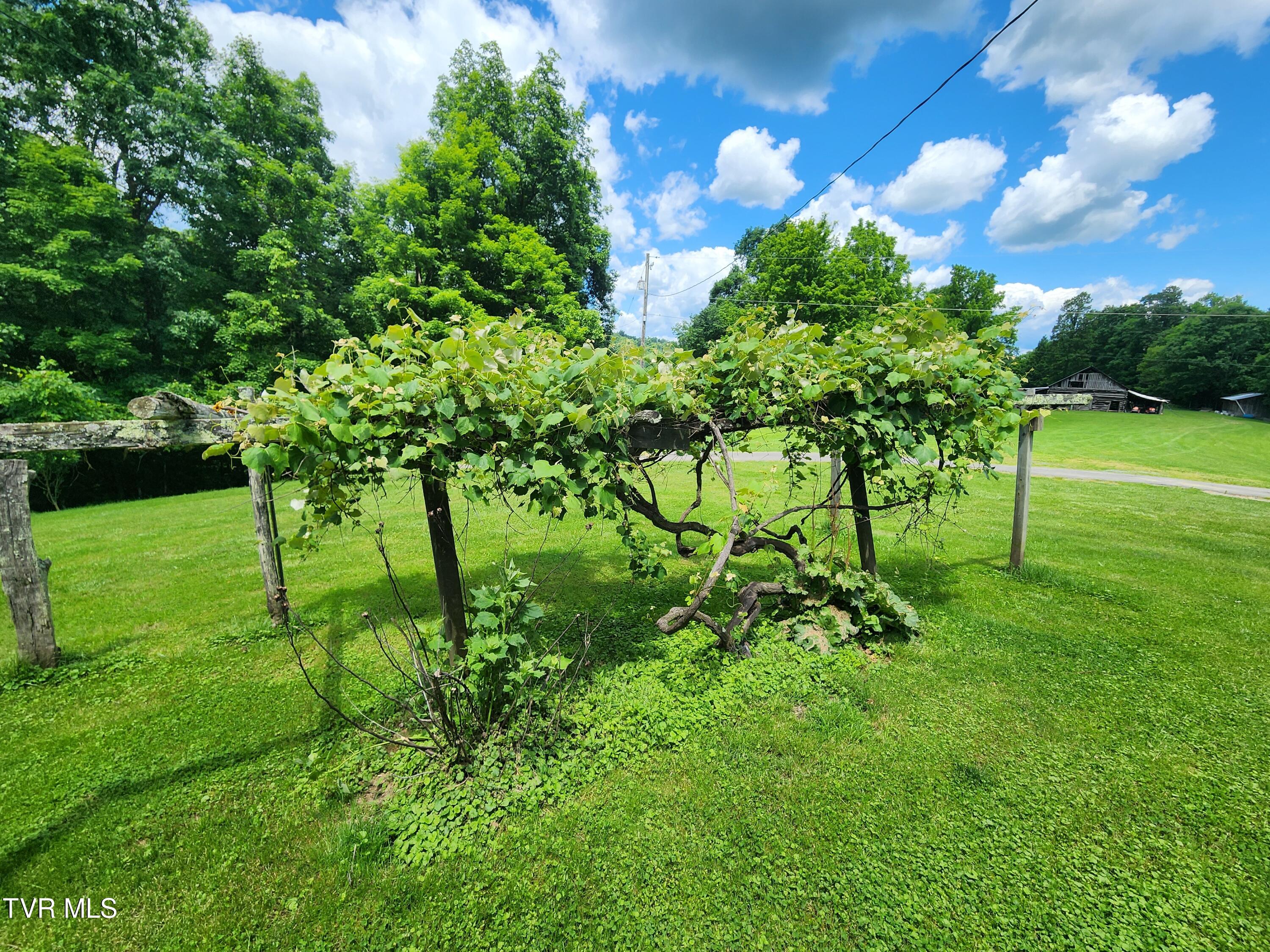 639 Dream Farm Road Birchleaf, VA 24220 - Photo 38 of 153 20240529_123705