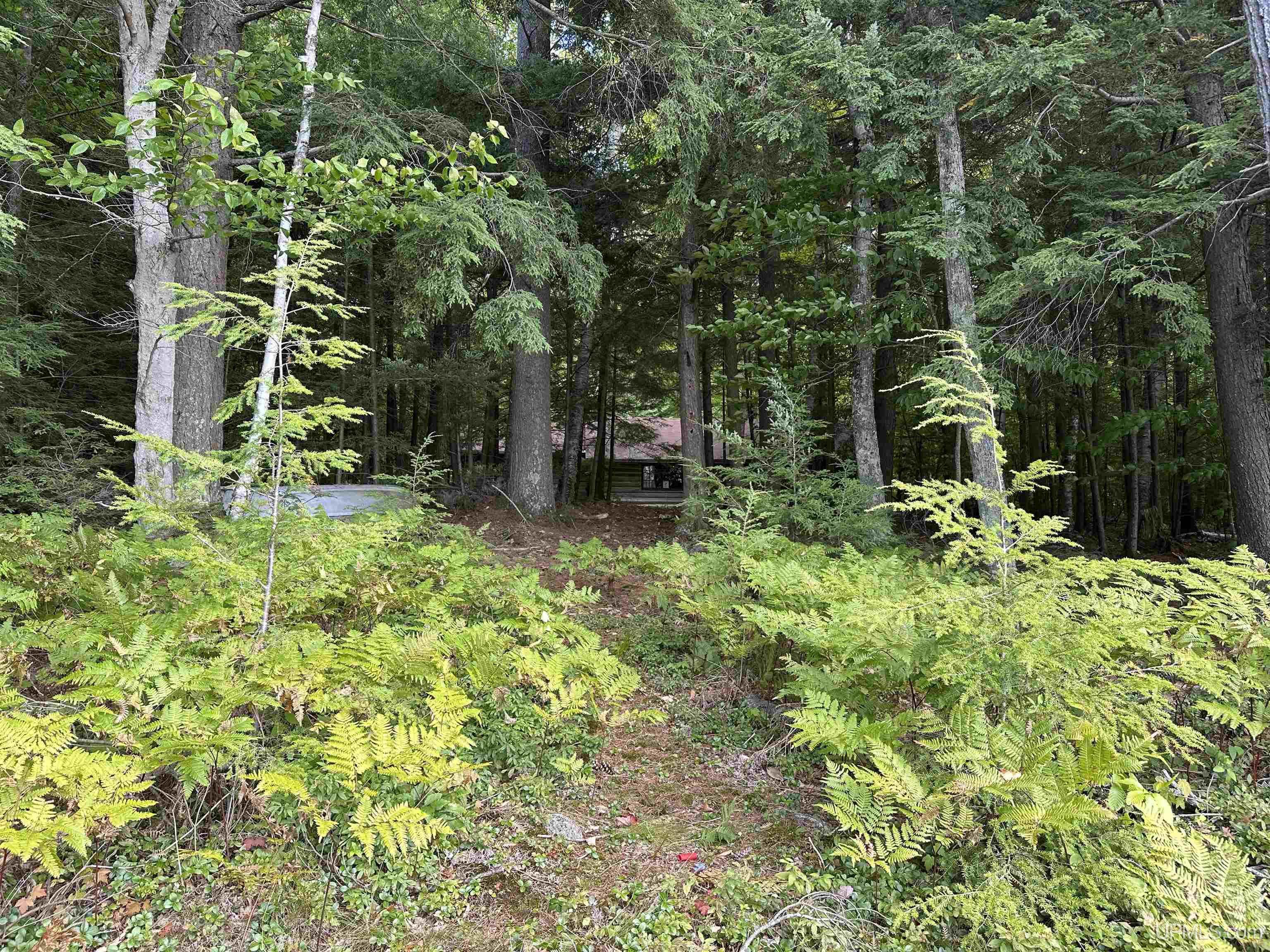 10695 Government Road Manistique, MI 49854 - Photo 45 of 47