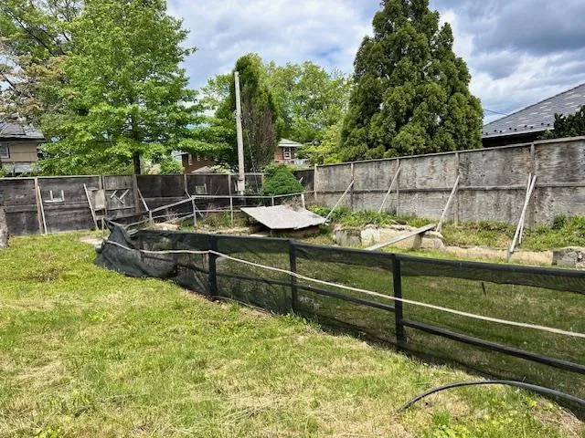 a view of a chairs and table in the backyard