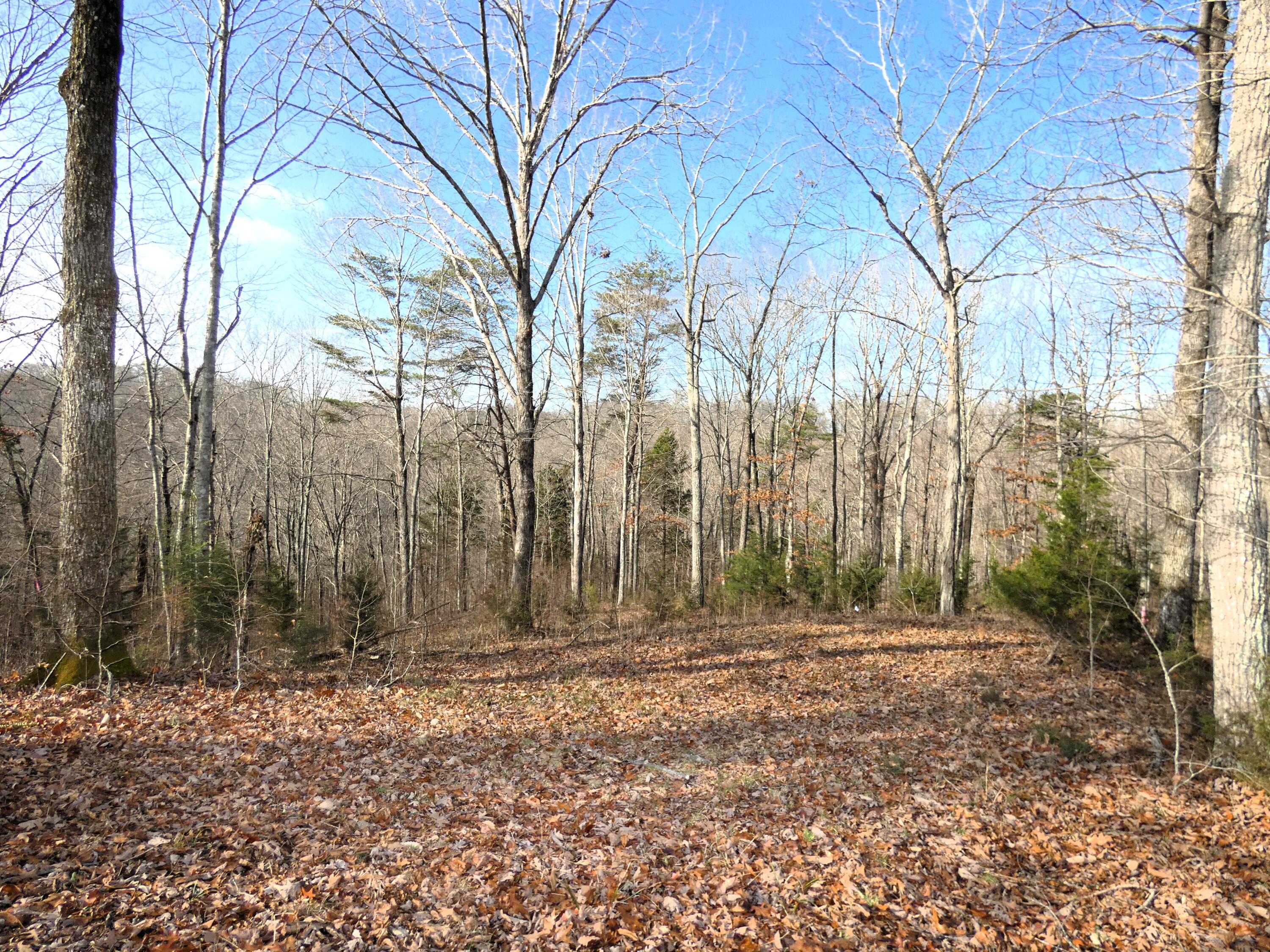 136 West Willow Point Road Monticello, KY 42633 - Photo 9 of 17 P1030117