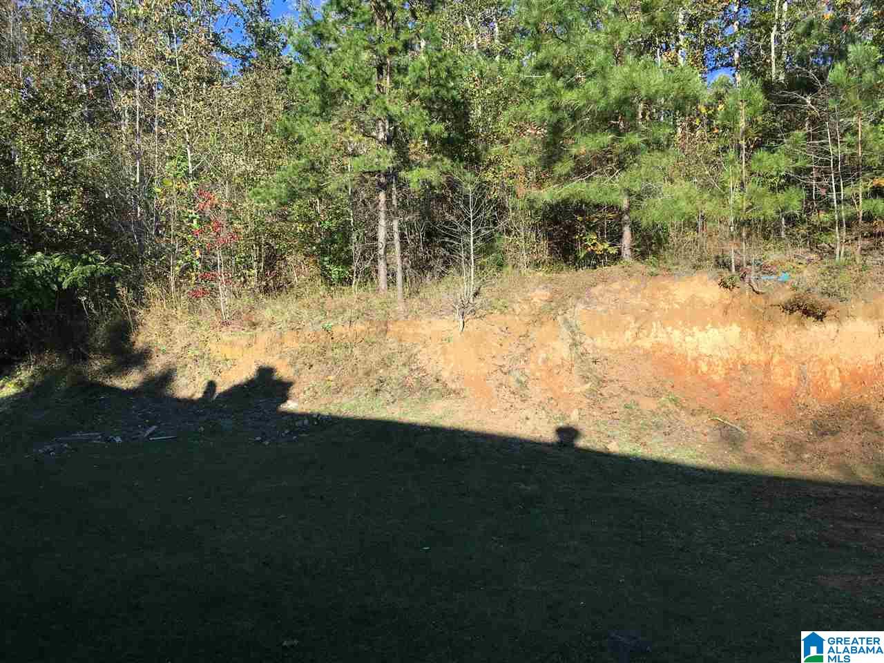 175 Reece Lane Odenville, AL 35120 - Photo 34 of 38