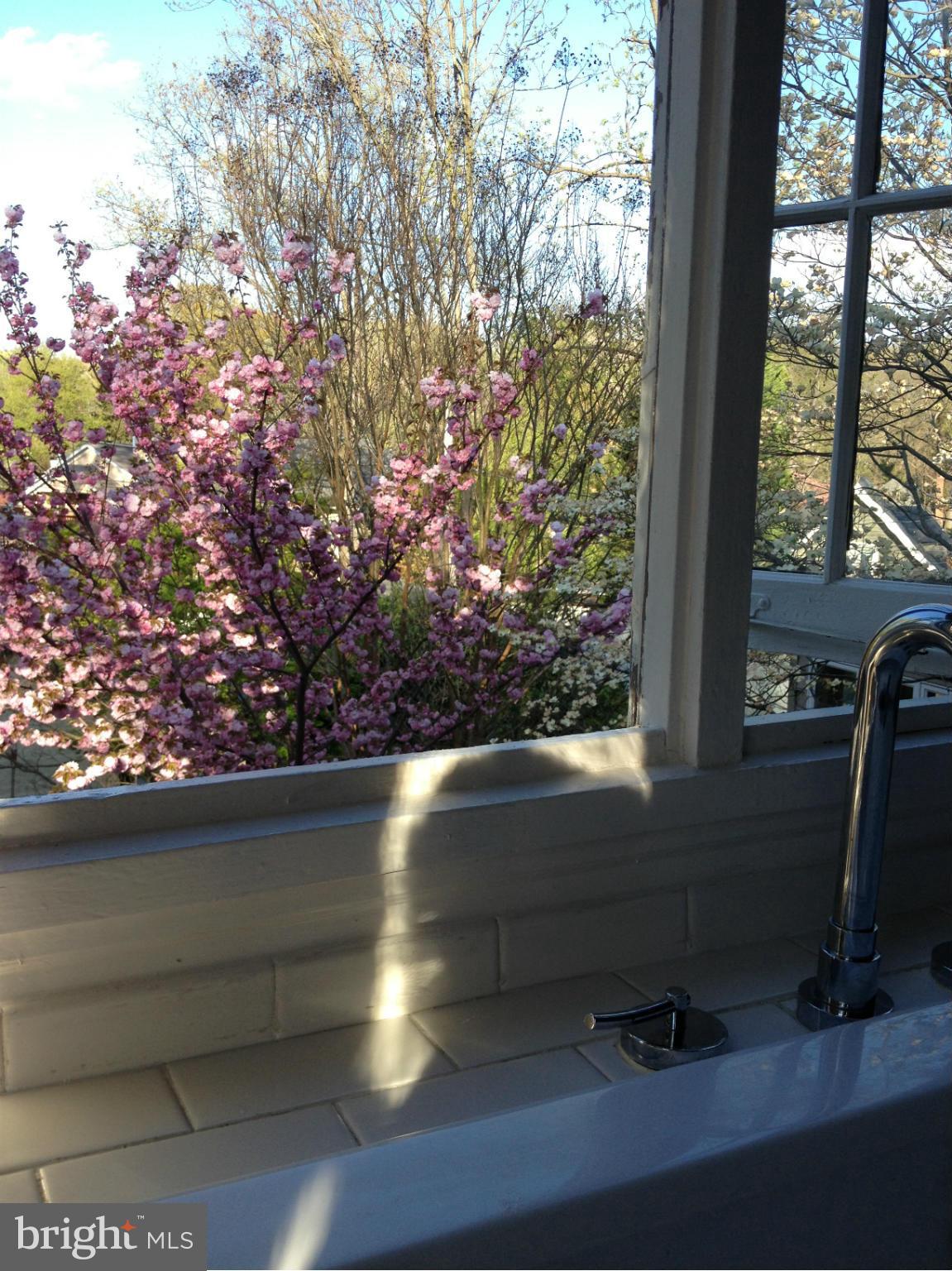1421 Foxhall Road Northwest Washington, DC 20007 - Photo 17 of 29 Bath (Master)