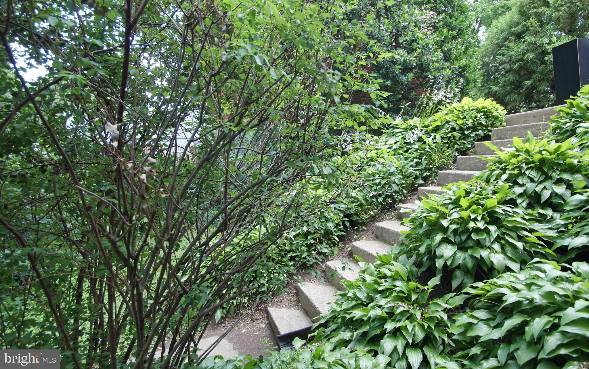 8446 Chippewa Road Philadelphia, PA 19128 - Photo 22 of 25