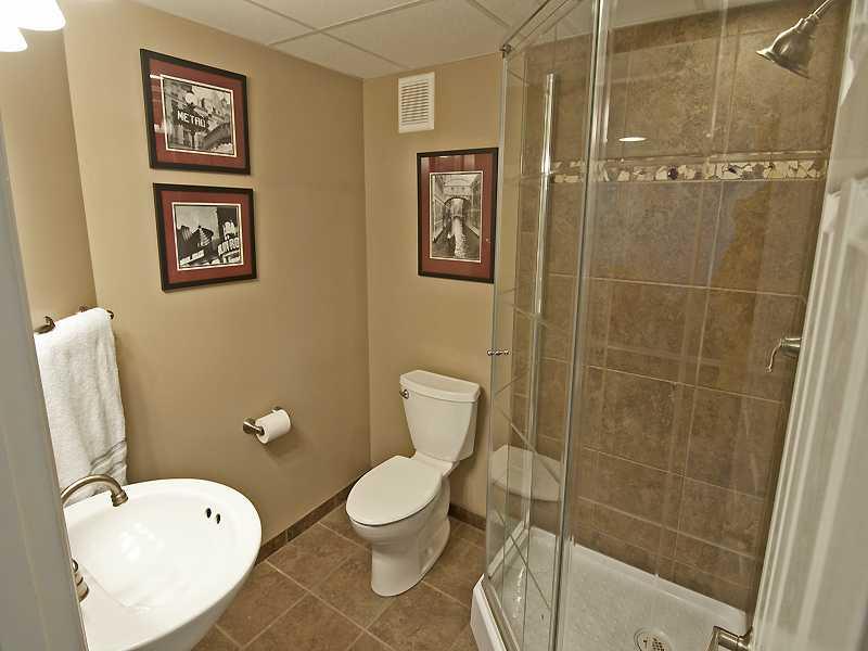111 Cherrytree Road Carnegie, PA 15106 - Photo 13 of 14 Full Bath. Lower level Bathroom, fully updated!