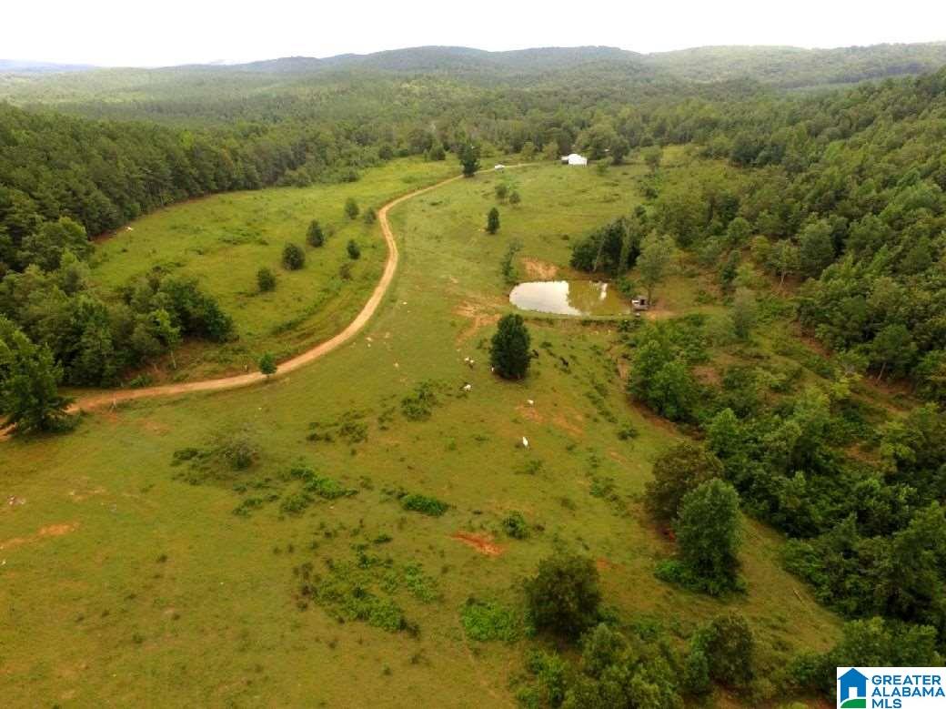 796 Alawashky Road, Unit 46 ACRES Ashland, AL 36251 - Photo 6 of 17