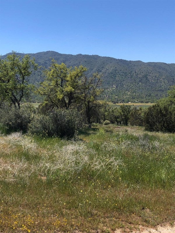 0 Walker Basin Road Caliente, CA 93518 - Photo 4 of 10 Gallery Image 4