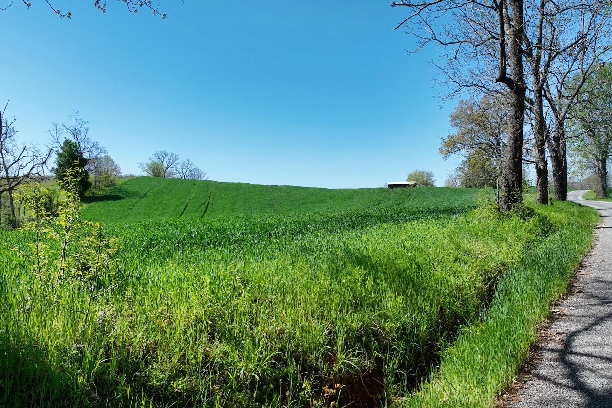 0 Mt Zion Road Springfield, TN 37172 - Photo 12 of 18 a view of a lush green space