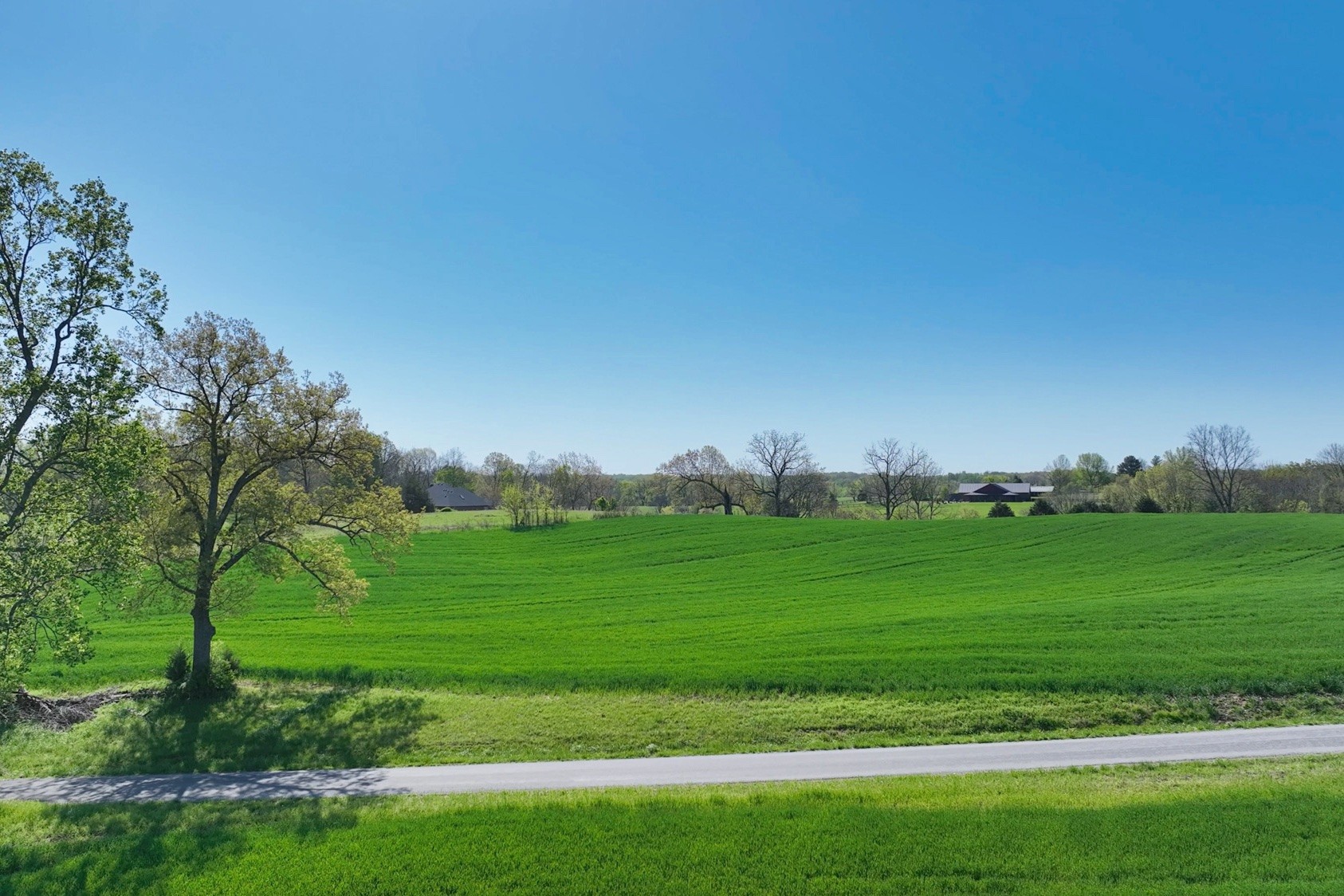 0 Mt Zion Road Springfield, TN 37172 - Photo 14 of 18 a view of a grassy field with trees