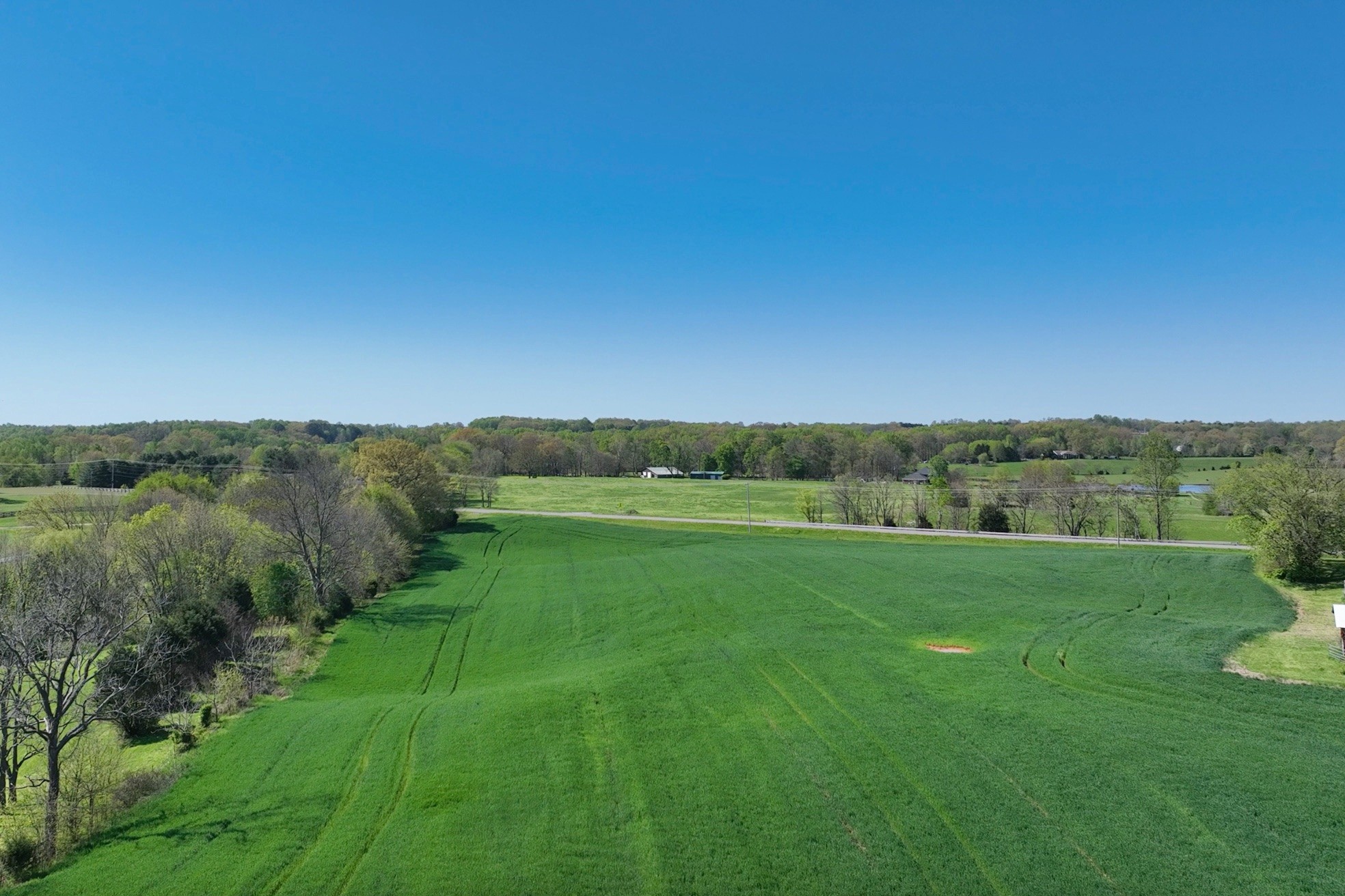 0 Mt Zion Road Springfield, TN 37172 - Photo 8 of 18 a view of field with grass and grass