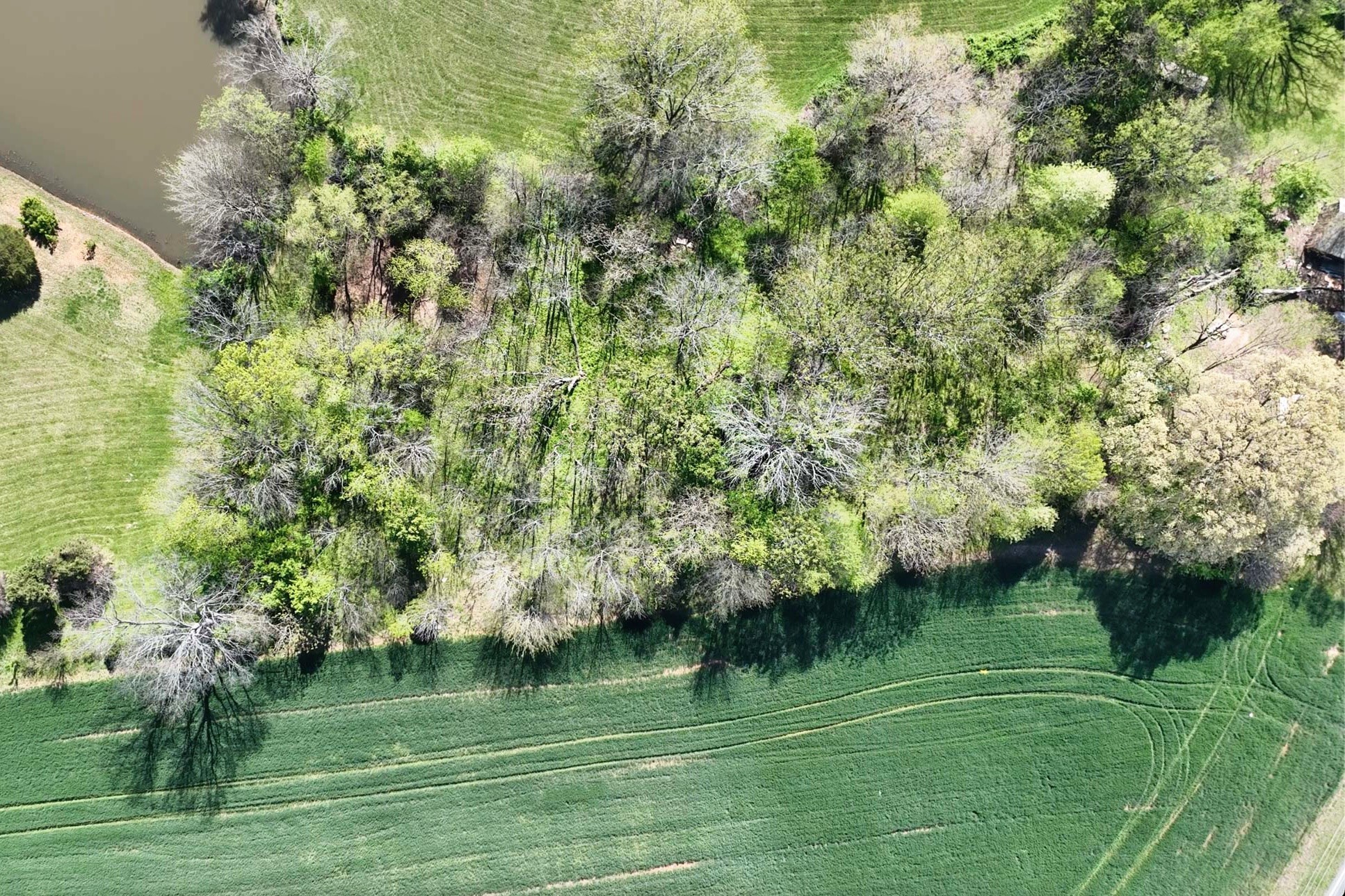0 Mt Zion Road Springfield, TN 37172 - Photo 9 of 18 a view of a green field