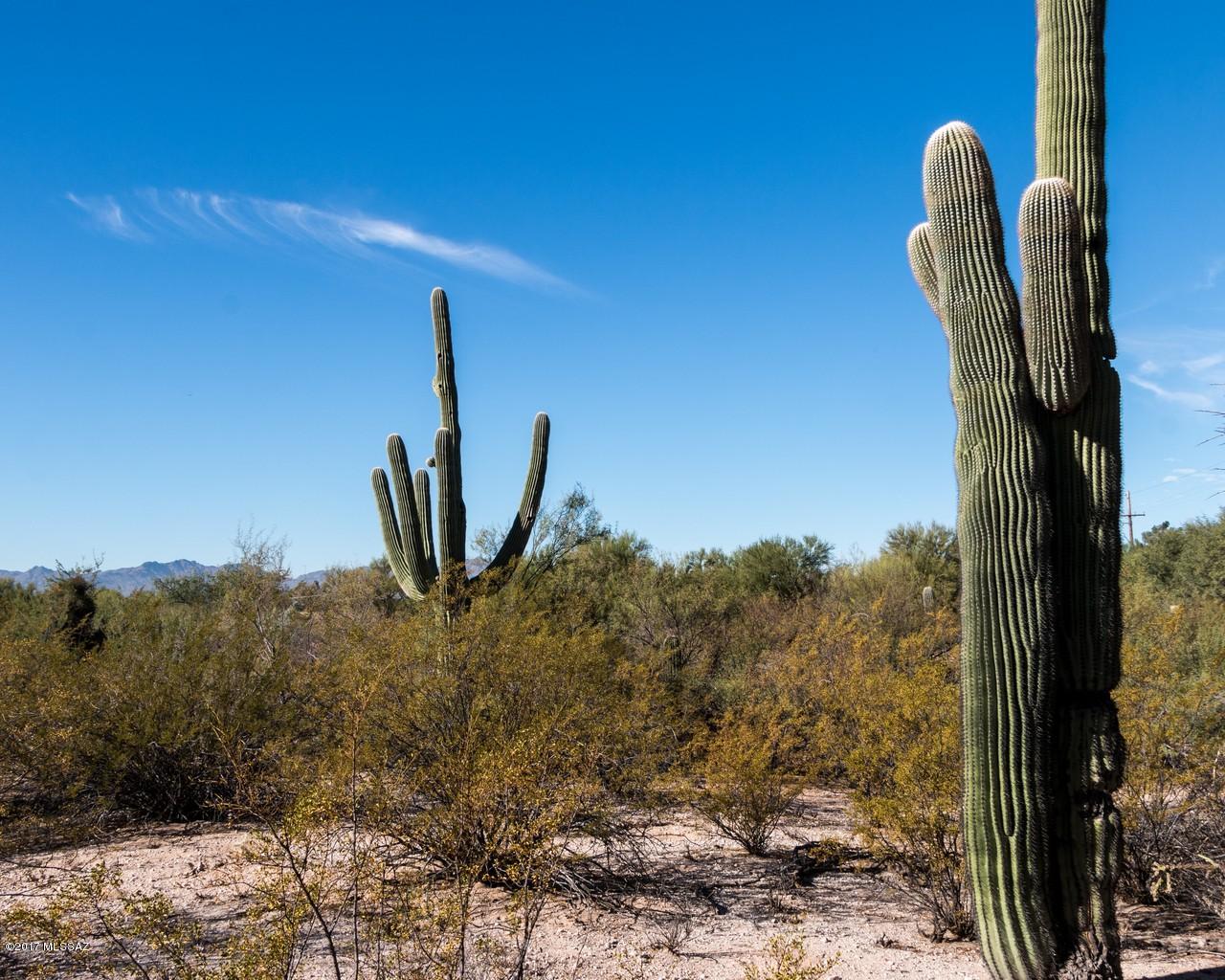 794 West Panorama Road Tucson, AZ 85704 - Photo 3 of 9 Gallery Image 3