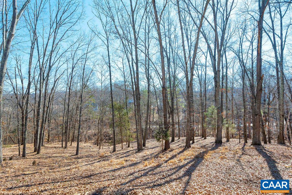1990 River Inn Lane Charlottesville, VA 22901 - Photo 46 of 48 a view of a yard with large trees