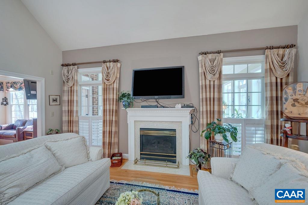 1990 River Inn Lane Charlottesville, VA 22901 - Photo 7 of 48 a living room with furniture a fireplace and a flat screen tv