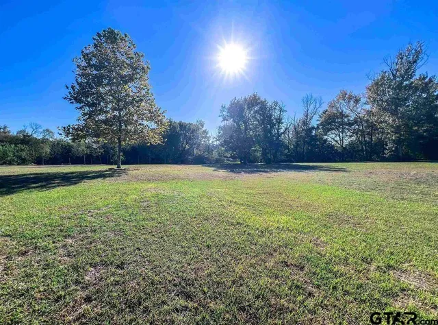 a view of an outdoor space and a yard