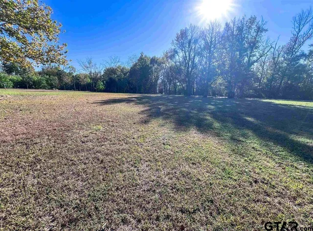a view of backyard with green space