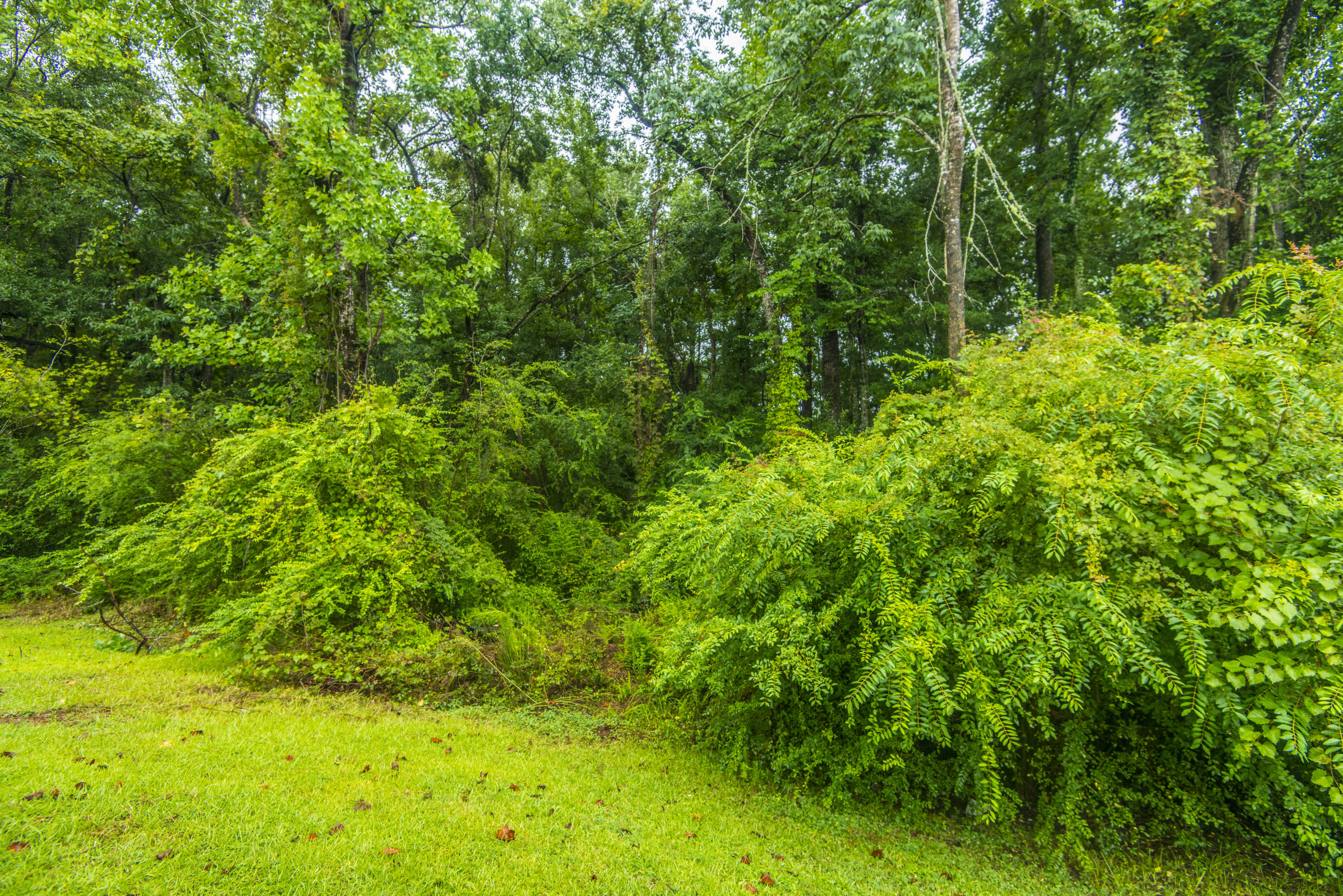 149 Hickory Ridge Way Summerville, SC 29483 - Photo 23 of 40 _DSC0211