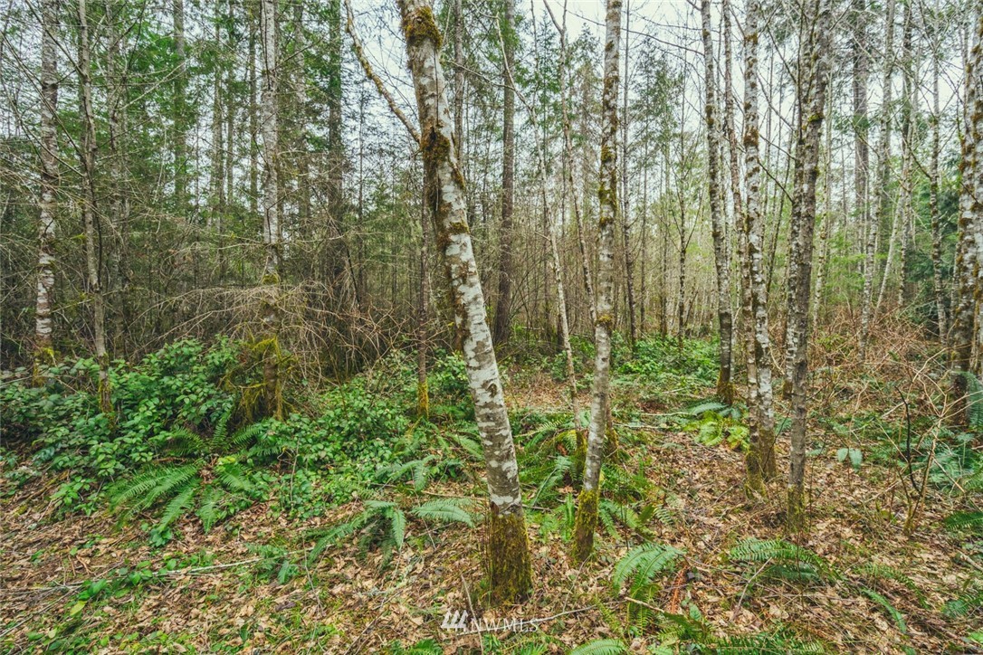 573 Logan Hill Road Chehalis, WA 98532 - Photo 20 of 25