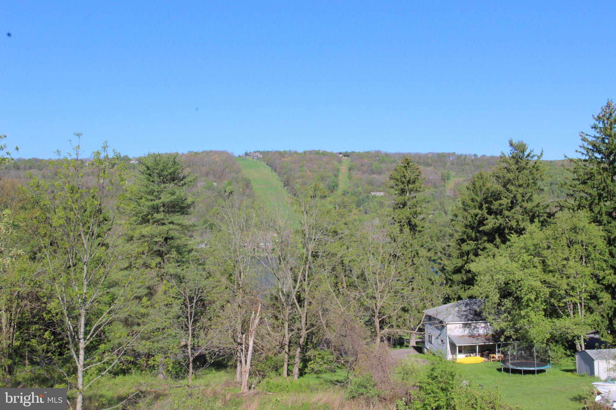 417 Greenwood Ridge Road Accident, MD 21520 - Photo 75 of 91 Ski Slops