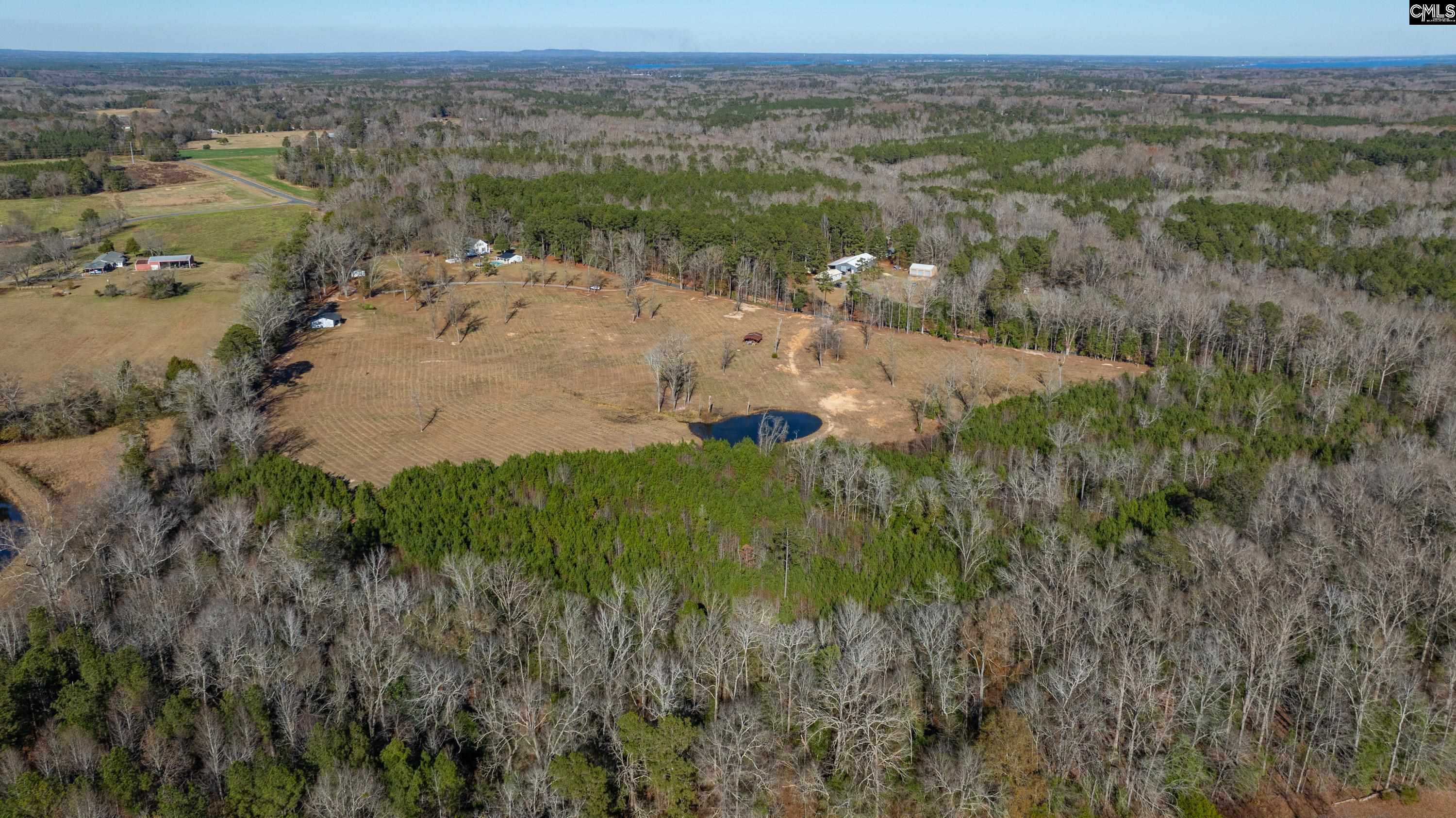 0 Cedar Grove Road Leesville, SC 29070 - Photo 3 of 14