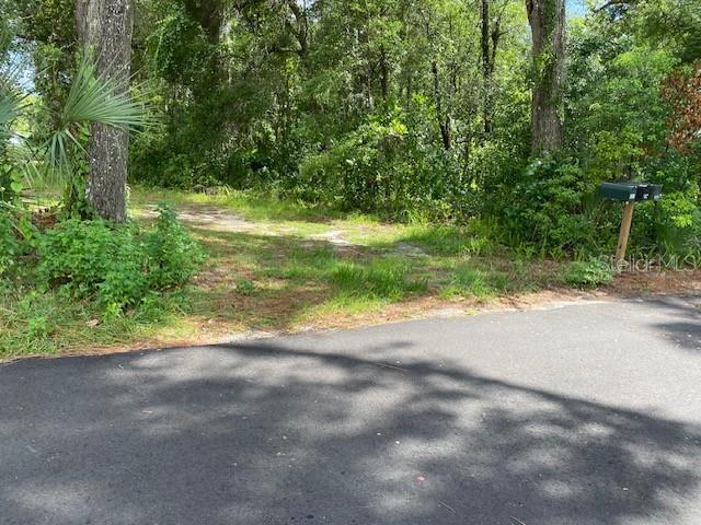 0 Th DeLand, FL 32724 - Photo 4 of 8 a view of a yard with a tree
