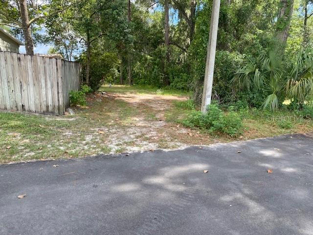 0 Th DeLand, FL 32724 - Photo 5 of 8 a view of a yard with tree s